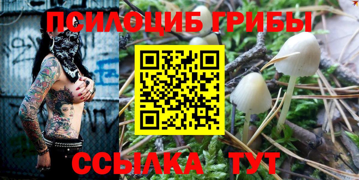 Фролово  Псилоцибиновые грибы GOLDEN TEACHER  Вход с VPN 