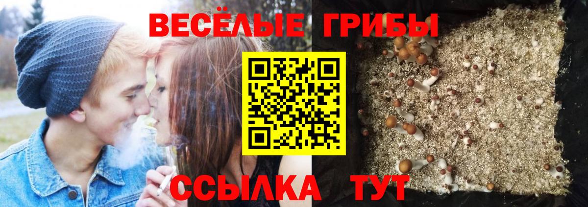 Галлюциногенные грибы GOLDEN TEACHER Фролово